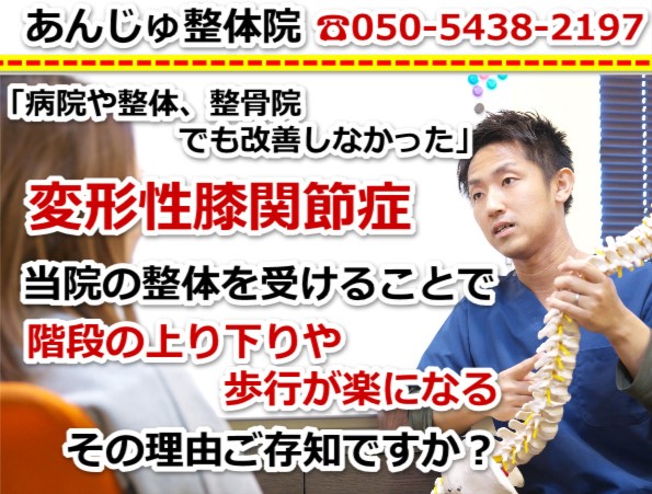 �ό`���G�֐ߏ�