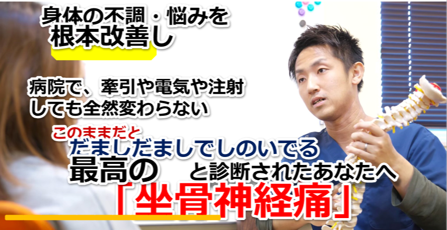 �w���̒ɂ�